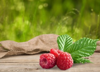 Wall Mural - Red raspberries in garden. Red sweet berries in fruit garden.