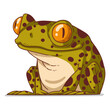 A Frog, isolated vector illustration. Cute cartoon picture for children of a froglet sitting. A funny frog sticker. Simple drawing of a smiling toad on white background. An amphibian.