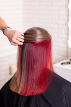 
Female Back With Brunette Hair And Creative Red Strands In Hairdressing Salon
