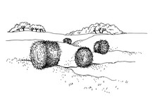 Rural Landscape With Hay Rolls Or Hayricks. Straw. Dry Wheat Grass Rolls. Hay Bales On Agriculture Farm Field. Farmland. Line Art  Sketch Vector Illustration Of Countryside. 