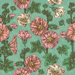 Green vintage seamless pattern with malva flowers. Color. Engraving style. Vector illustration.