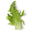 fresh frillice iceberg leaf salad isolated on white background. Top view, flat lay.