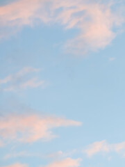 Wall Mural - Blue sky background with pale pink clouds at sunset