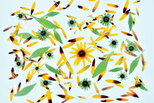 The Picture Shows A Texture Pattern Created From Orange And Yellow Petals And Green Leaves.