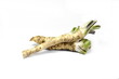 Horseradish roots isolated on white background. Fresh horseradish. Fresh and grated horseradish 