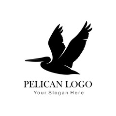 Poster - flying pelican logo