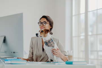 Busy female teacher wears formal clothes and spectacles conducts online lessons for students works at computer poses in coworking space with dog, busy working online. Businesswoman at desktop