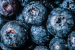 blueberry/borówka