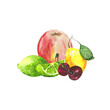 Watercolor composition of fruits and berries isolated on a white background. Apple, lime, lemon and cherry. For the design of postcards, posters, office.