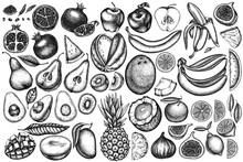 Fruits Vintage Vector Illustrations Collection. Black And White Bananas, Pears, Kiwi Etc.