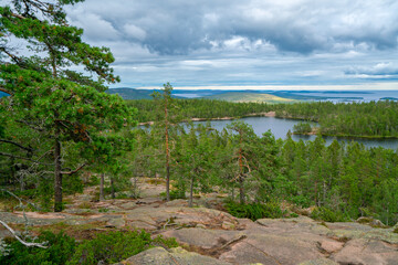 Wall Mural - View of Baltic sea and gulf of Bothnia from the top of the rock in Skuleskogen national park, Sweden. Hiking along the High Coast trail, Hoha Kustenleden.