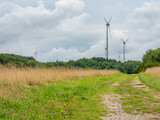 Fototapeta Lawenda - Wiatraki produkujące energię w sierpniowy dzień w Gniewinie w tle polnej drogi
