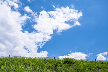 Poster - 夏の日の青空と自然風景