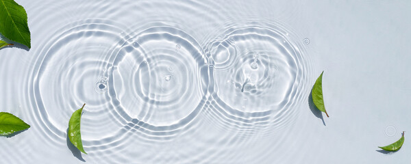 Wall Mural - Water texture, clear water surface with rings and ripples and green leaves