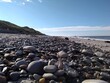 Steine und Muscheln am Nordseestrand