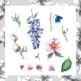 Fototapeta Dmuchawce - Botanical floral trendy fashion illustration set print decorativ