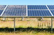 Contrast between clean and dirty solar panels in an array with the sections adjarnt in a field of long grass