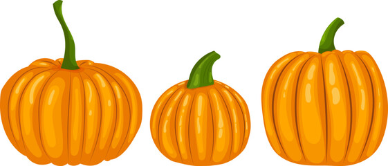 Wall Mural - orange pumpkins in flat style, isolated, vector