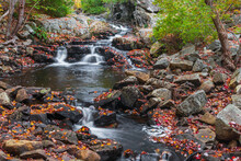 Cascades In Autumn Forest In Acadia