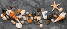 Different Sea Shells, Starfishes And Pebbles On Grey Background