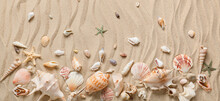 Many Different Sea Shells On Beach Sand