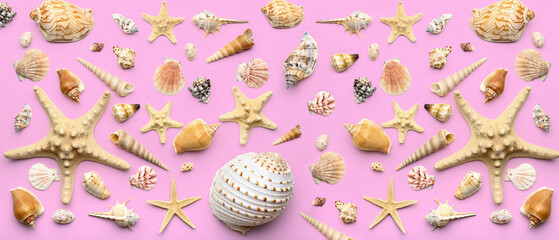 Wall Mural - Many beautiful sea shells on pink background, top view. Pattern for design