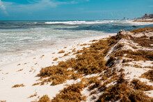Lateral Photograph Of The Beach With Sargassum On The Sand And In The Background The Hotel Zone Of Cancun, Photo Of A Series Of Waves Crashing With The Shore Of The Beach.