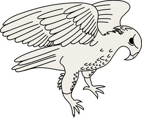 Aguila real