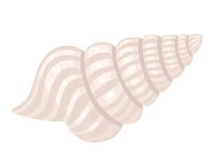 Wall Mural - colorful tropical underwater shell cartoon design vector illustration isolated on white background