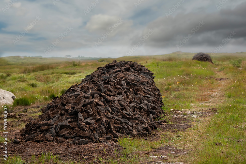Long pile of freshly cut turf in a bog. Traditional Irish fossil fuel ...