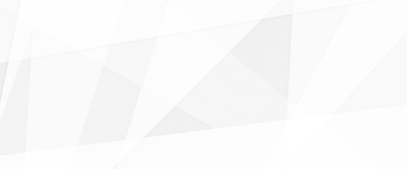Wall Mural - abstract background with lines, grey white abstract stripe background geometry shine and layer eleme
