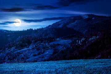 Wall Mural - mountain landscape in autumn at night. wonderful countryside with trees in colorful foliage and grassy meadows. nature scenery in full moon light with fluffy clouds on the sky