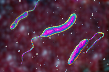 Poster - Vibrio cholerae bacteria, 3D illustration