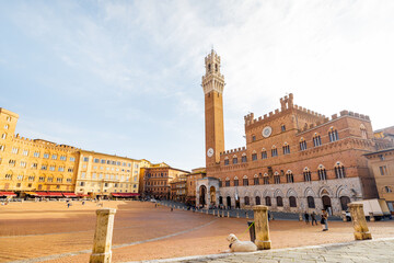 Wall Mural - Morning view on the main square of Siena city with town hall. Concept of architecture of the Tuscan region and travel Italy