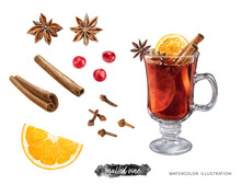 Mulled Wine Drink Set Hand Drawn Watercolor Illustration Isolated On White Background