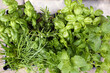 Different aromatic herbs in crate, top view
