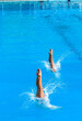 Aquatic Pool Diving Girls Pairs Action Half and Half Entry Into Blue Waters.