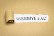 Goodbye 2022