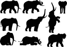 African Elephant Set Different Poses Isolated Vectors Silhouettes