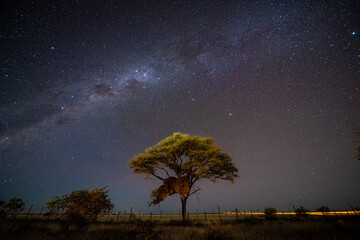 milky way in etosha national park, namibia