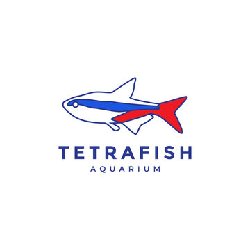 abstract colorful tetra fish logo