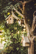 Vogelhotel mit drei Vogelhäuschen hängen auf einem Baum.