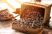 Cocoa Bean, Cocoa Seed For Dried For Source Material For Making Chocolate