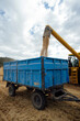 © ADDICTIVE STOCK - Combine harvester unloading grains in countryside