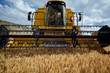 © ADDICTIVE STOCK - Combine harvester in agricultural field