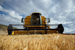 © ADDICTIVE STOCK - Combine harvester in agricultural field