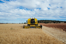 Combine Harvester Driving On Agricultural Field