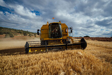 Combine Harvester In Agricultural Field