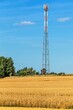 Iron communications tower on the hill with wheat field. Agriculture. Growing wheat. Grain trading. New GSM antennas on a high tower against a blue sky.