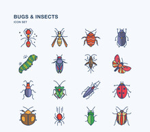 Insects Icon Set, Bugs Illustration Collection